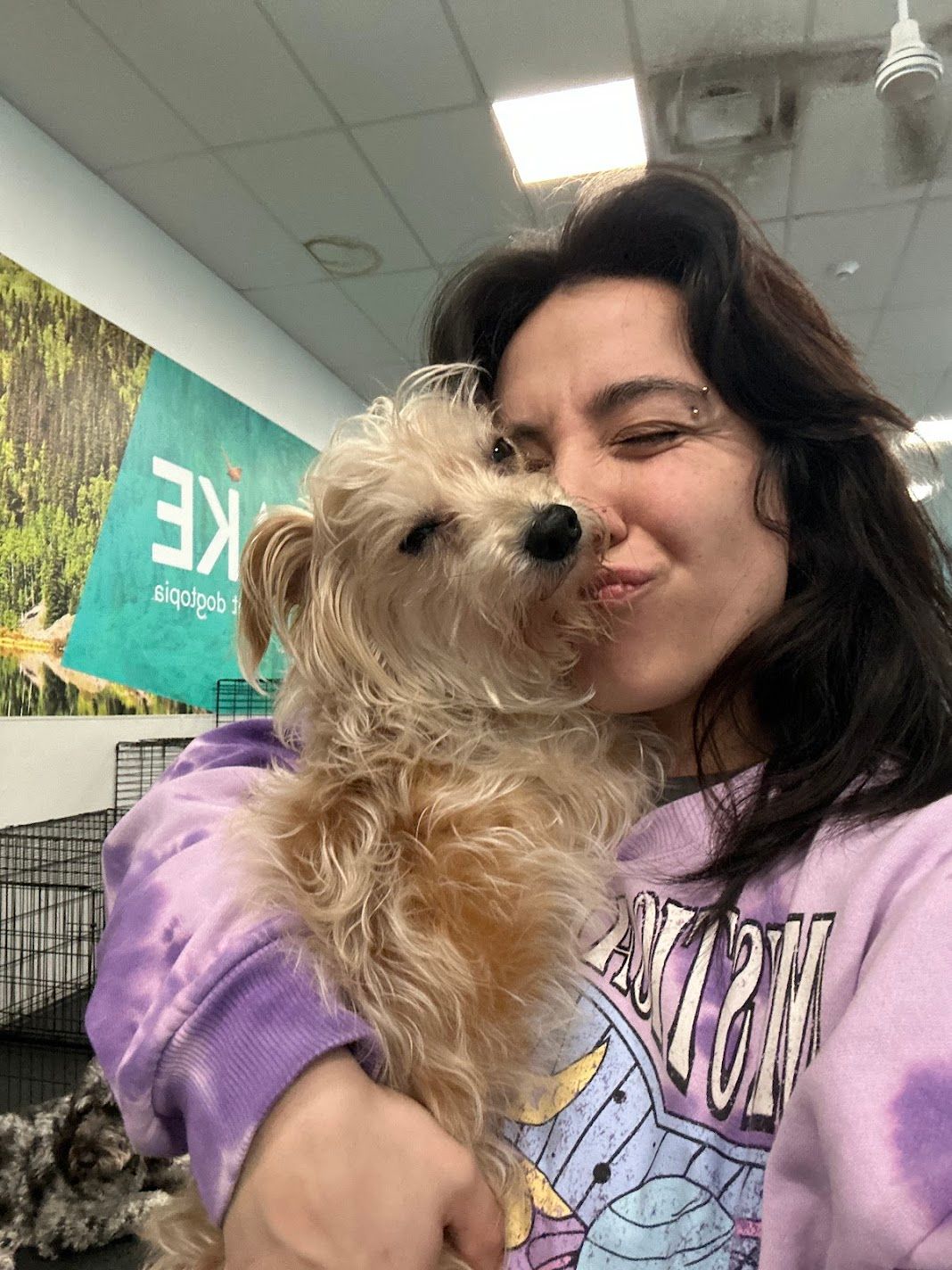 Woman in tie-dye hoodie gives a kiss to a small Yorkie mix dog in a pet facility.