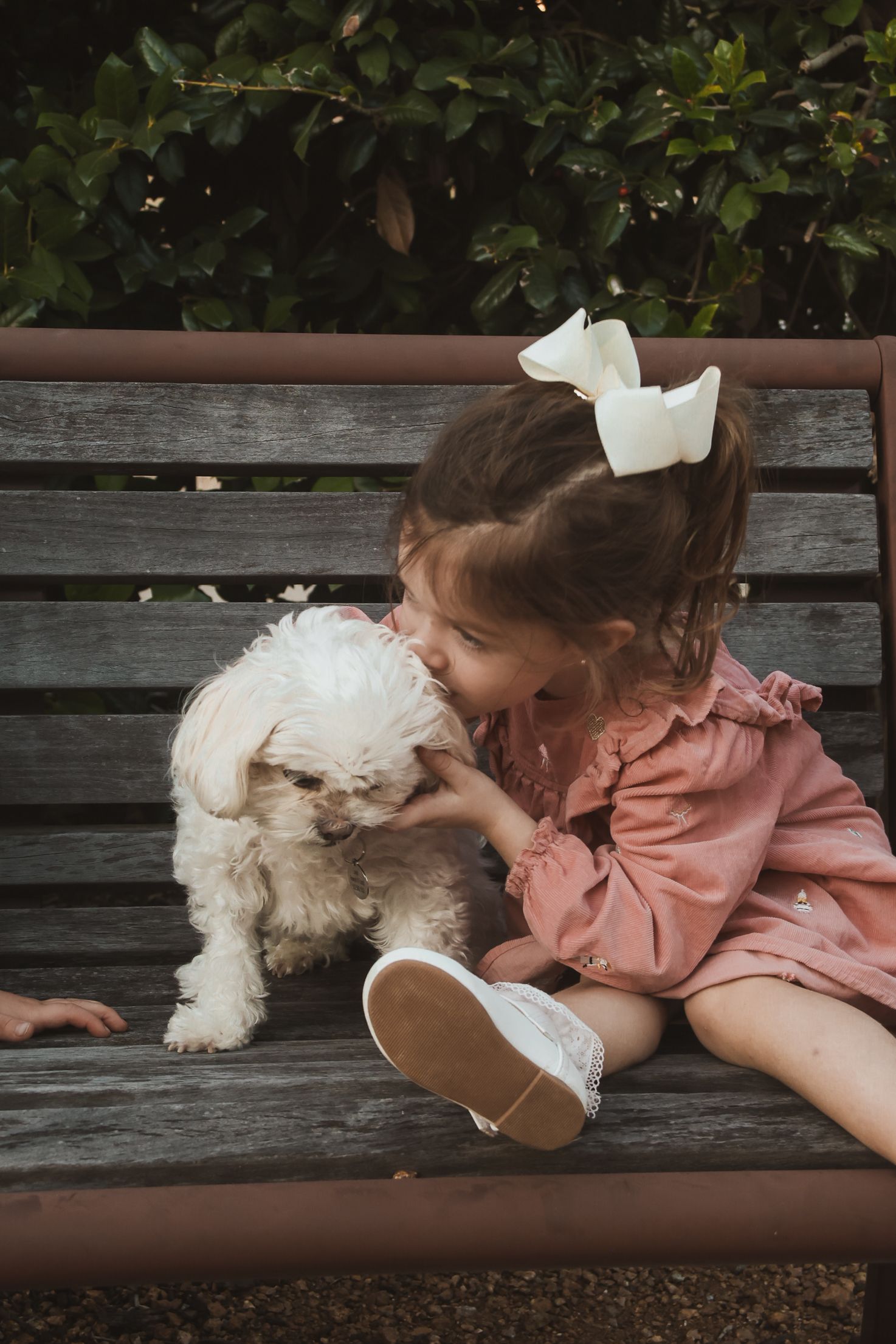 A little girl in a pink dress with a white bow kisses a fluffy white puppy on a wooden bench outdoors.