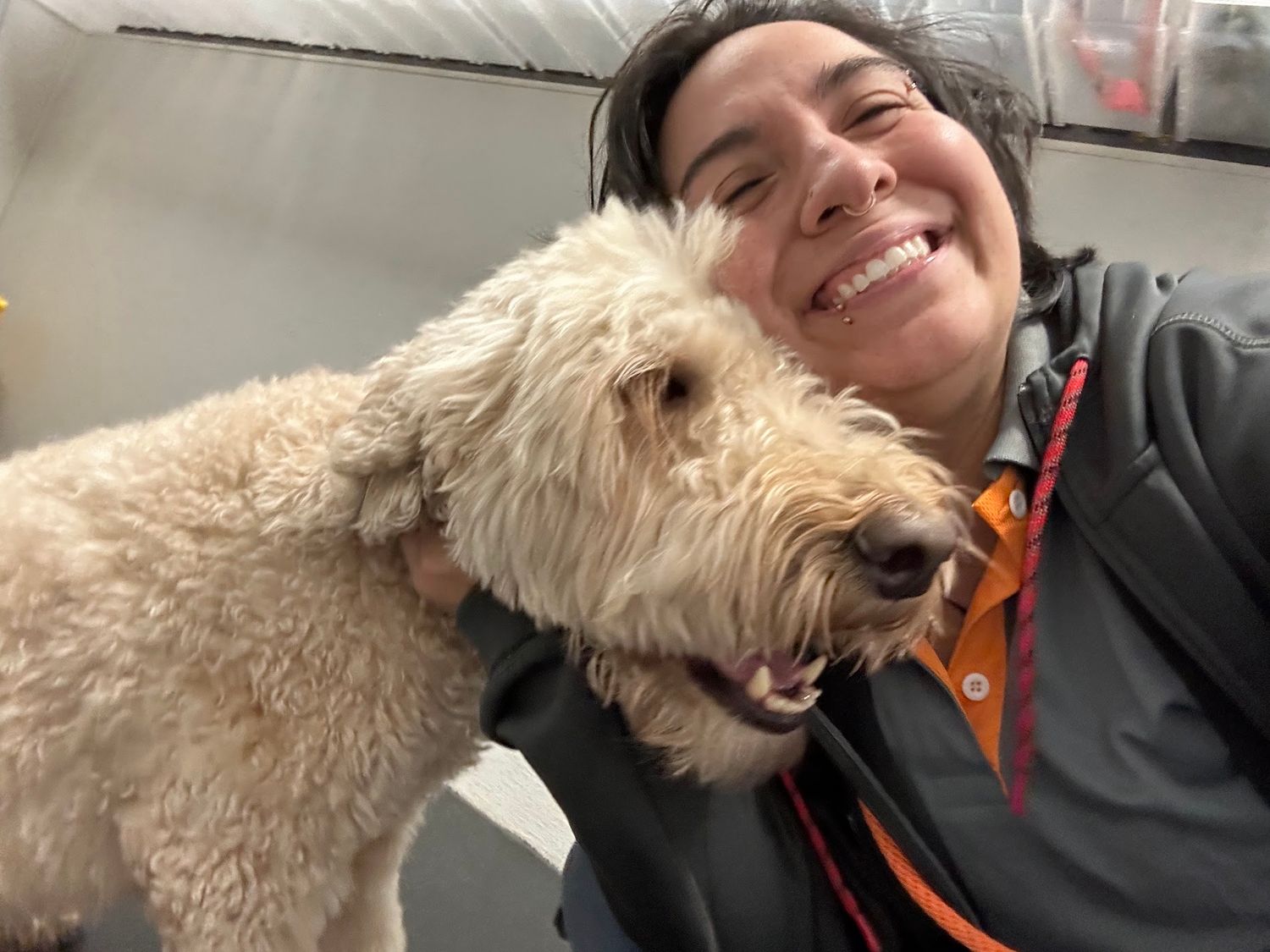 Happy person takes close-up selfie with fluffy cream-colored Goldendoodle dog indoors.
