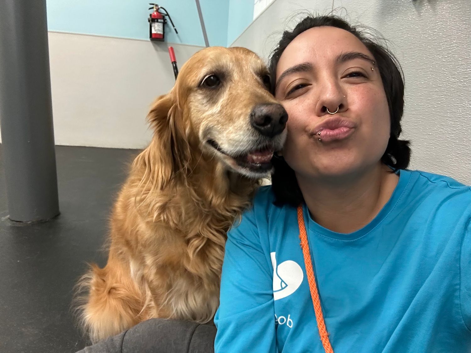 A woman in a blue shirt makes a kissy face next to a smiling golden retriever in a pet care facility.