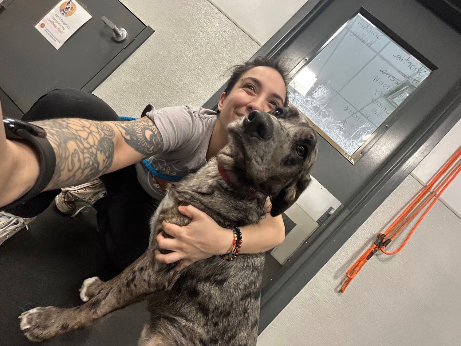 Tattooed person takes selfie while hugging a happy merle Great Dane puppy indoors.