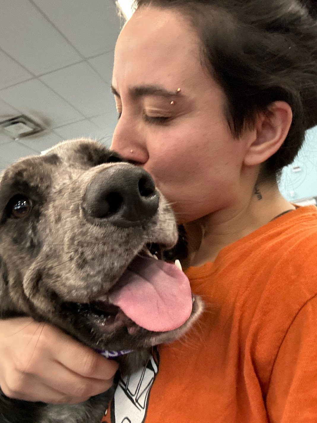 Young woman in orange shirt kissing a brindle dog with a happy open-mouthed smile indoors.