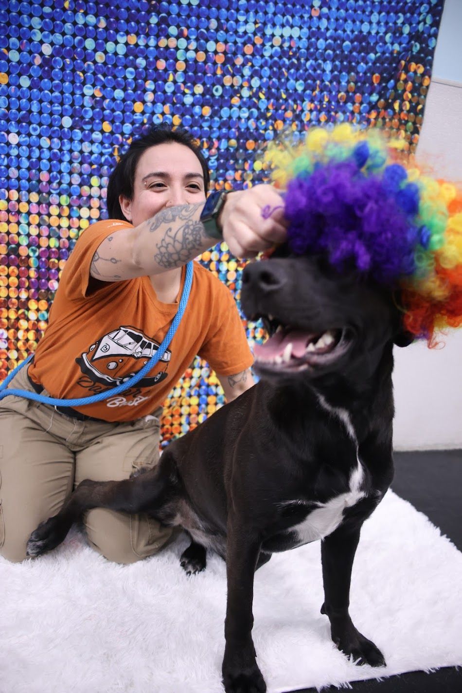Woman in orange shirt posing with a black and white dog wearing a colorful rainbow clown wig.