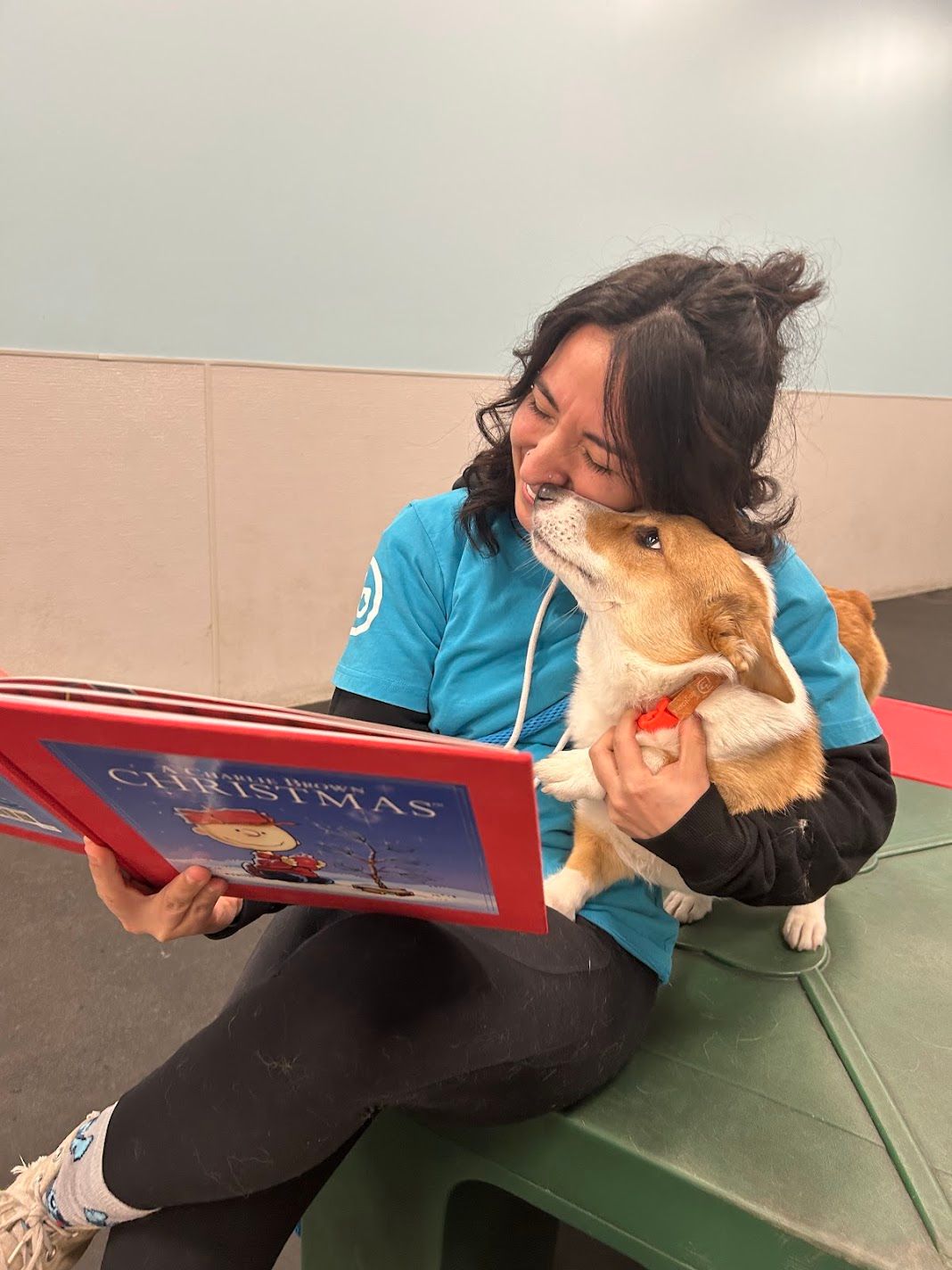 A woman in a blue shirt reads a Christmas book while a corgi puppy nuzzles her face.