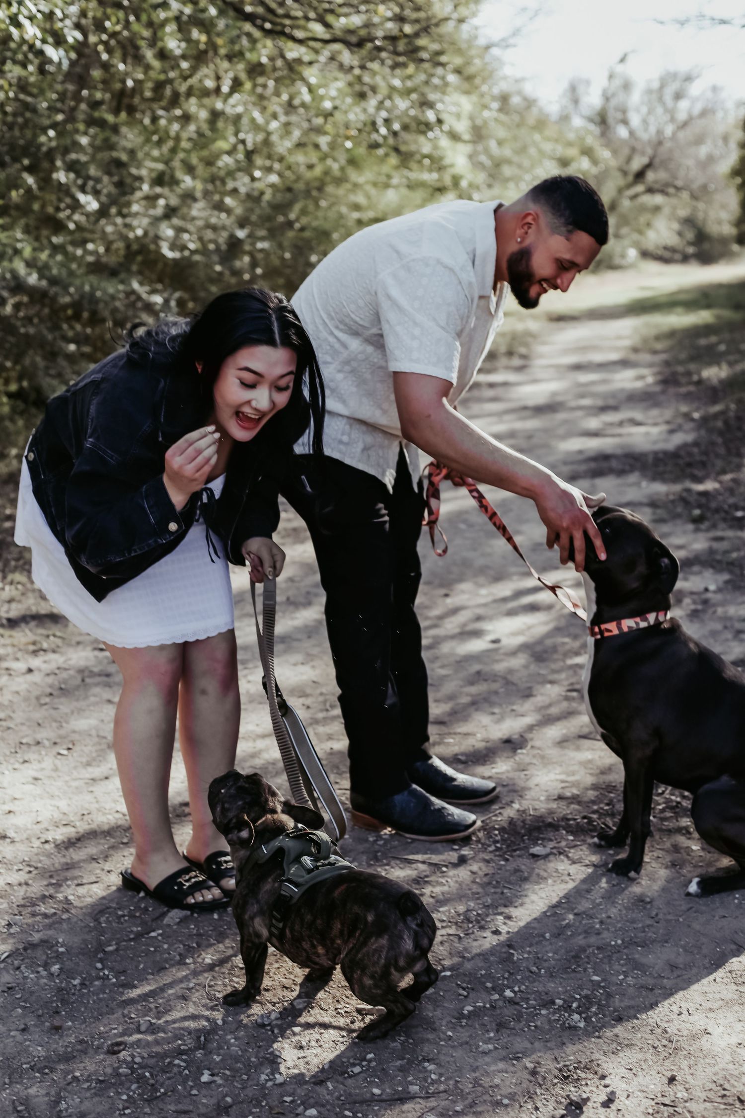 Couple laughing and petting two dogs on a sunny dirt path surrounded by green trees.