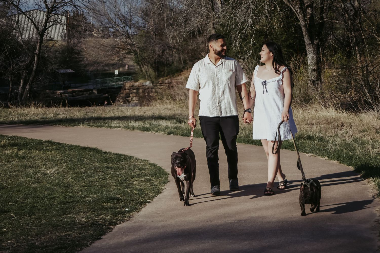 Couple walking two dogs on a paved park path, holding hands and smiling at each other on a sunny day.