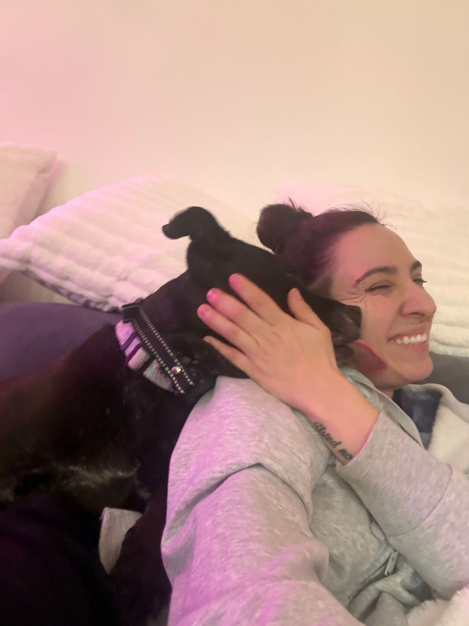 Woman with pink highlighted hair laughing as a small black dog nuzzles her face on a couch.