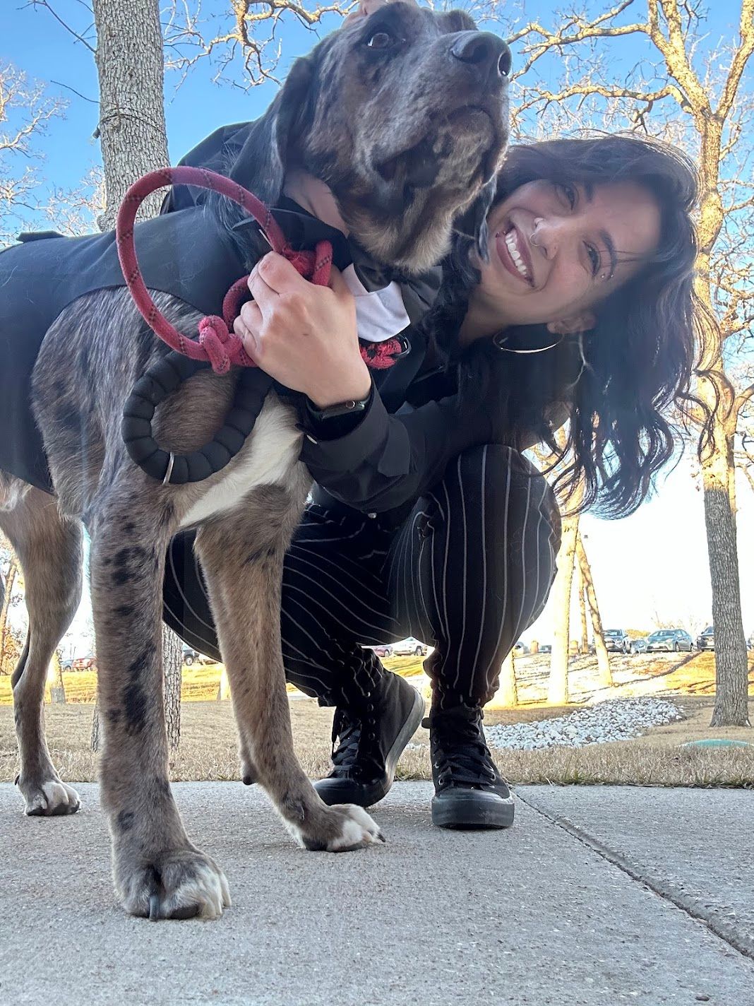 Smiling woman crouching outdoors with a large brindle dog on a red leash on a sunny winter day.