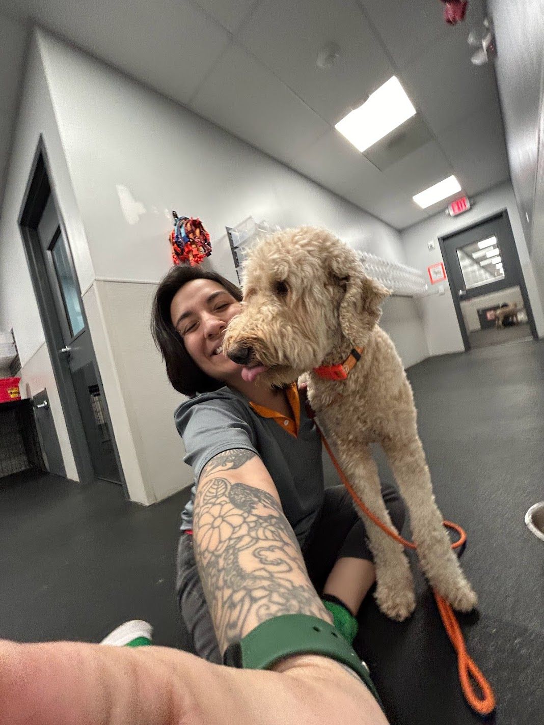 A tattooed woman takes a selfie with a fluffy apricot goldendoodle licking her face at a dog daycare.