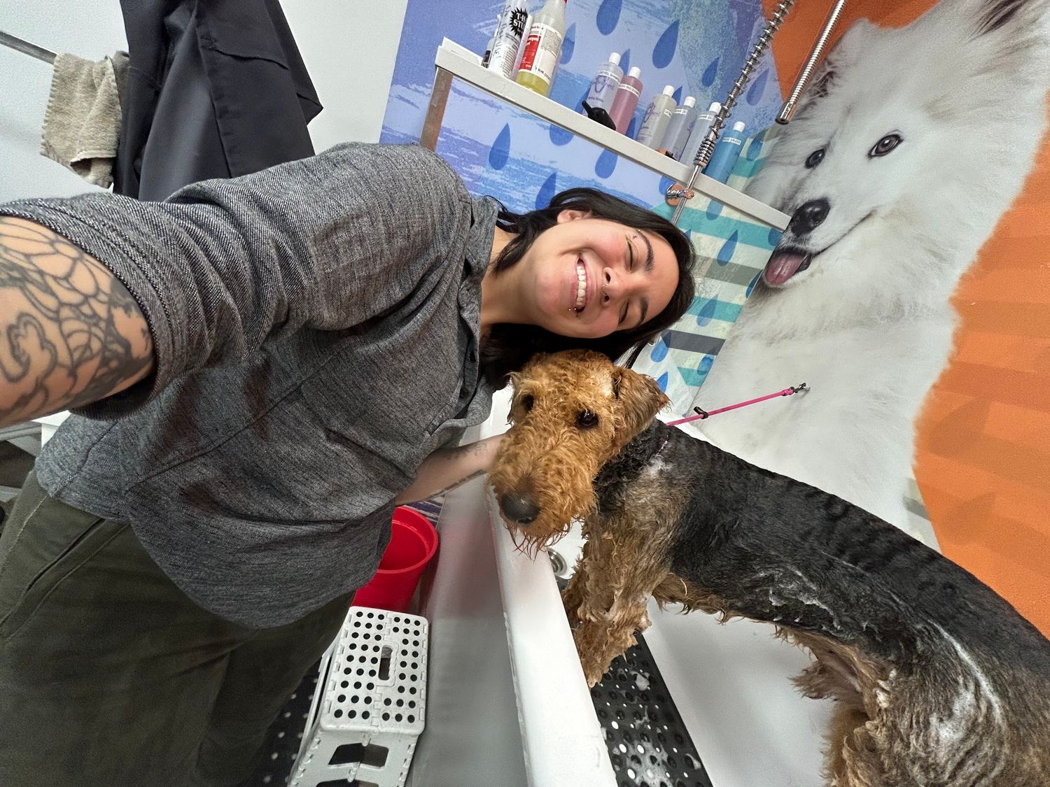 Tattooed person takes selfie with wet Airedale Terrier dog during grooming session.