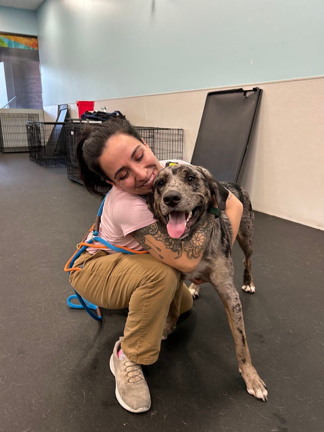 Smiling person hugs large merle mixed breed dog with tongue out in a dog training room.