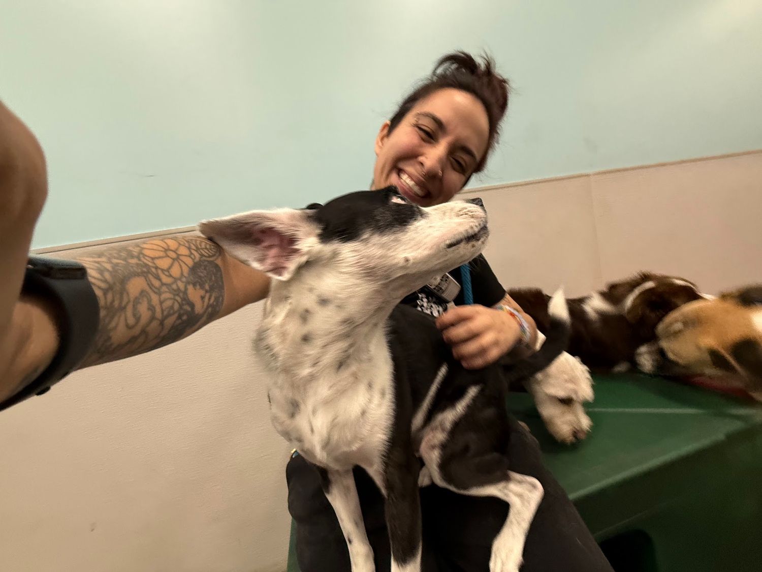 A tattooed woman takes a selfie while a black and white dog licks her face at a dog facility.
