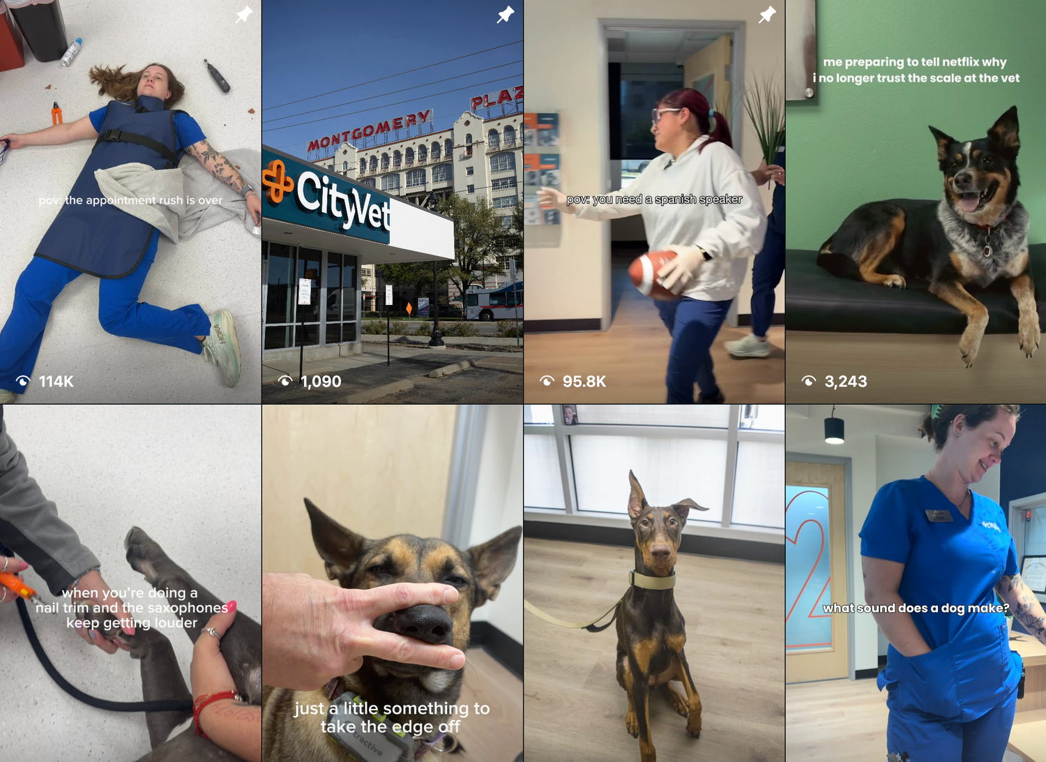 A collage of TikTok videos featuring veterinary staff, dogs, and a CityVet clinic, showcasing pet care moments and animal interactions.