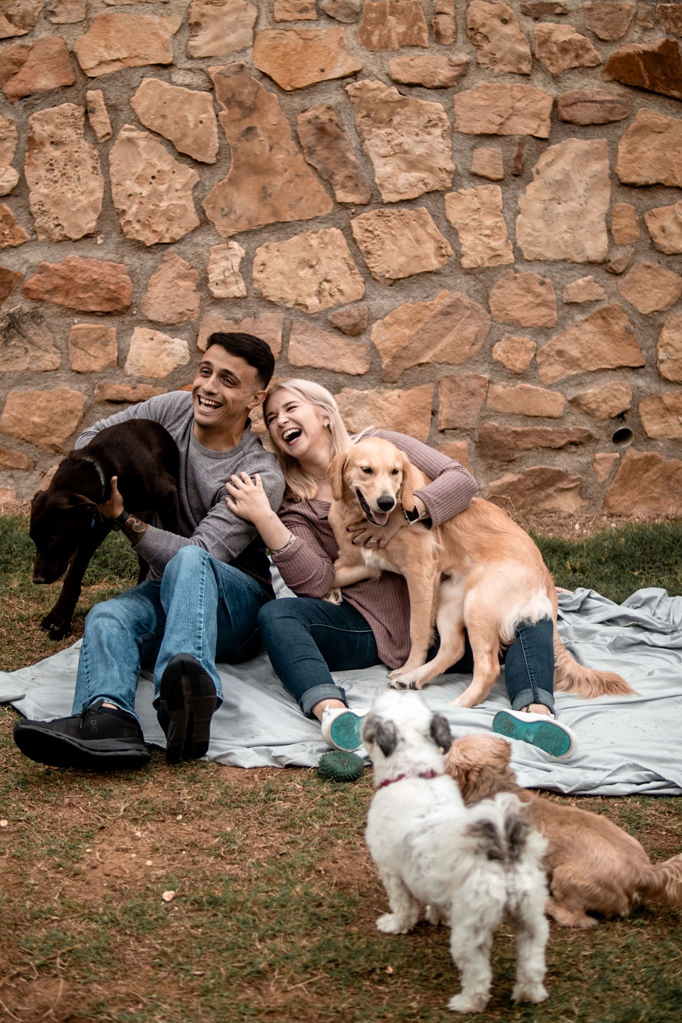Happy couple sitting on a blanket outdoors laughing with three dogs near a rustic stone wall.