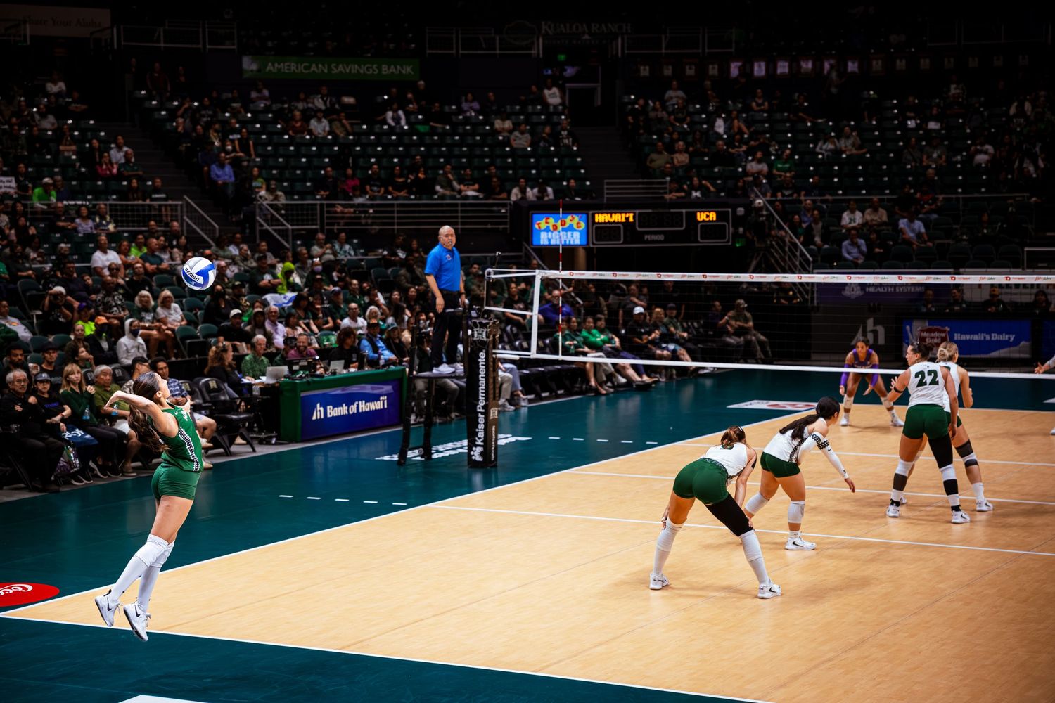 College volleyball match with players in green and white uniforms competing indoors at a large arena.