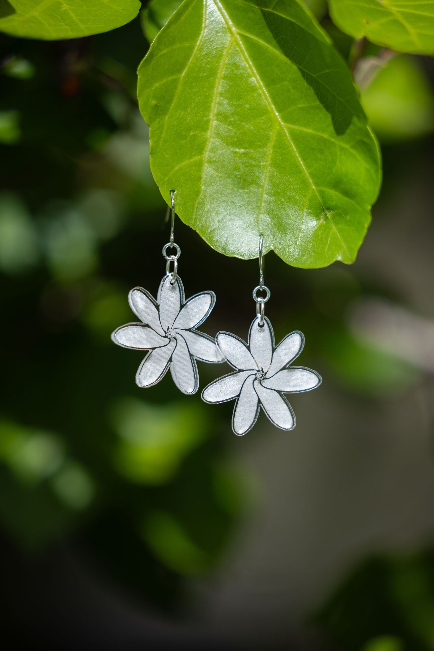 White plumeria flower earrings hanging from green tropical leaves.