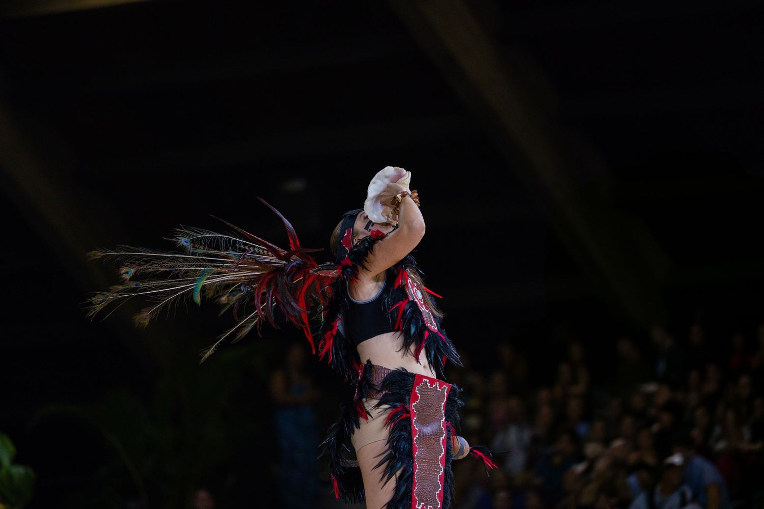 A performer in an elaborate feathered costume dances on stage during a theatrical show.