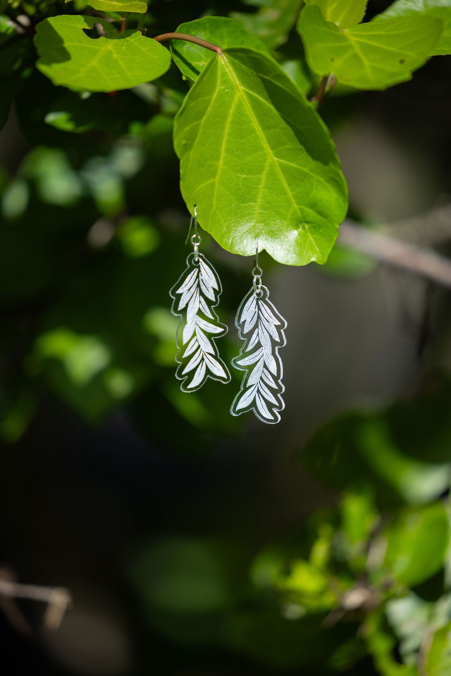 Delicate white feather earrings suspended from vibrant green foliage.