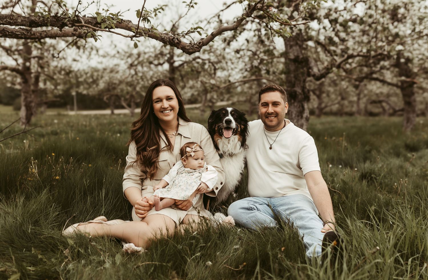 Moncton New Brunswick Maternity & Newborn photography apple orchard family photoshoot apple blossoms
