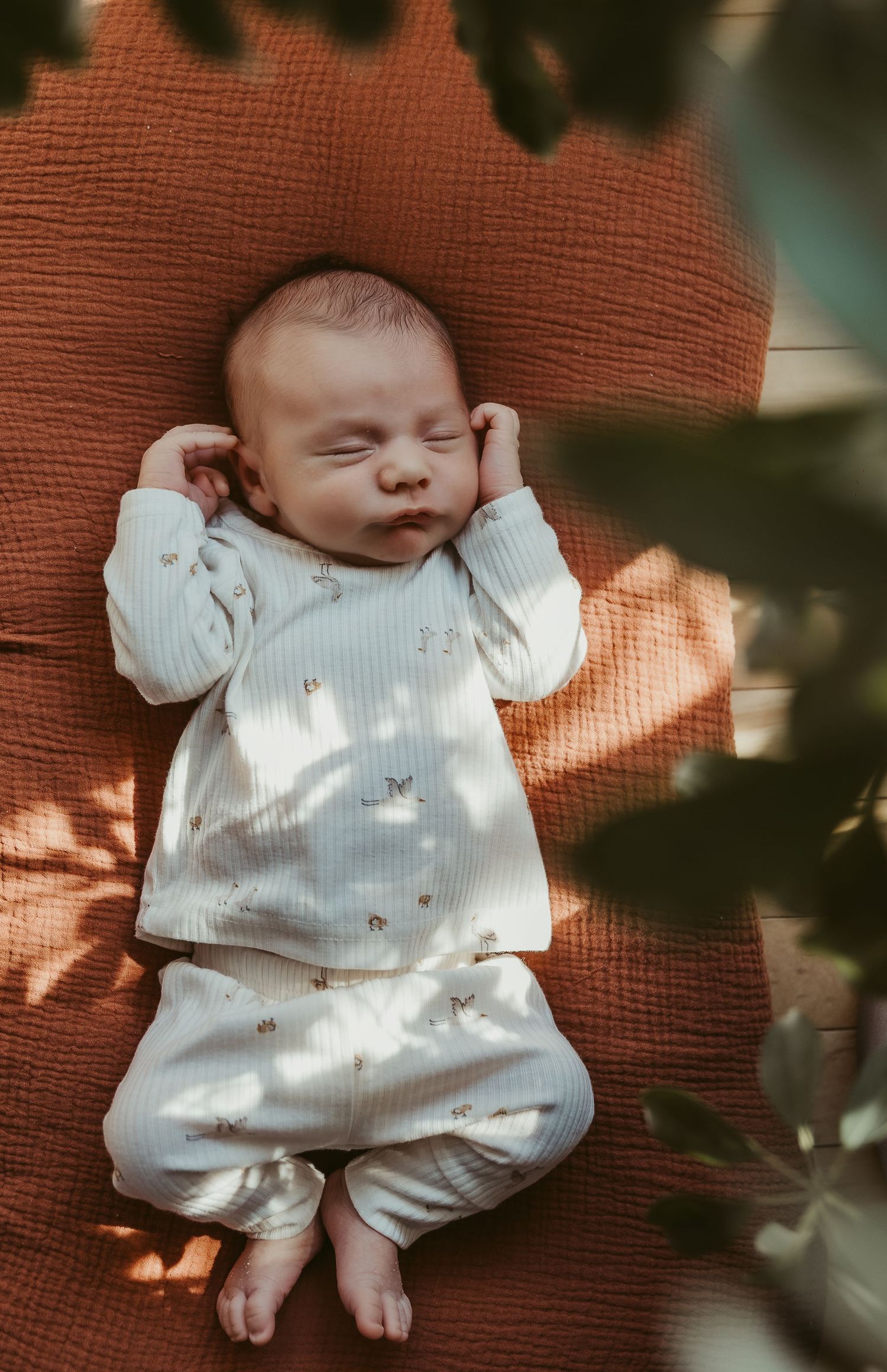 newborn baby in home shoot moncton nb
