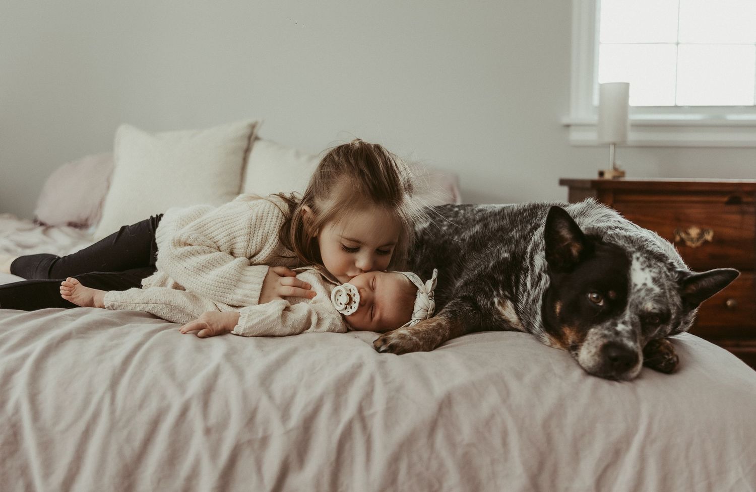 Moncton New Brunswick Maternity & Newborn photography in home newborn shoot with big sister and blue heeler dog
