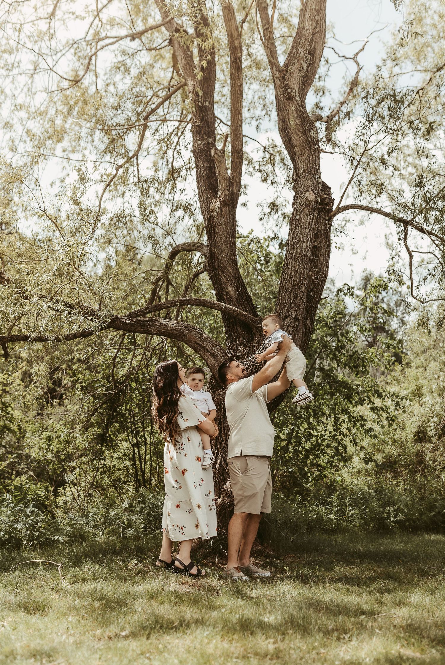 Moncton New Brunswick Maternity & Newborn photography family photoshoot weeping willow trees