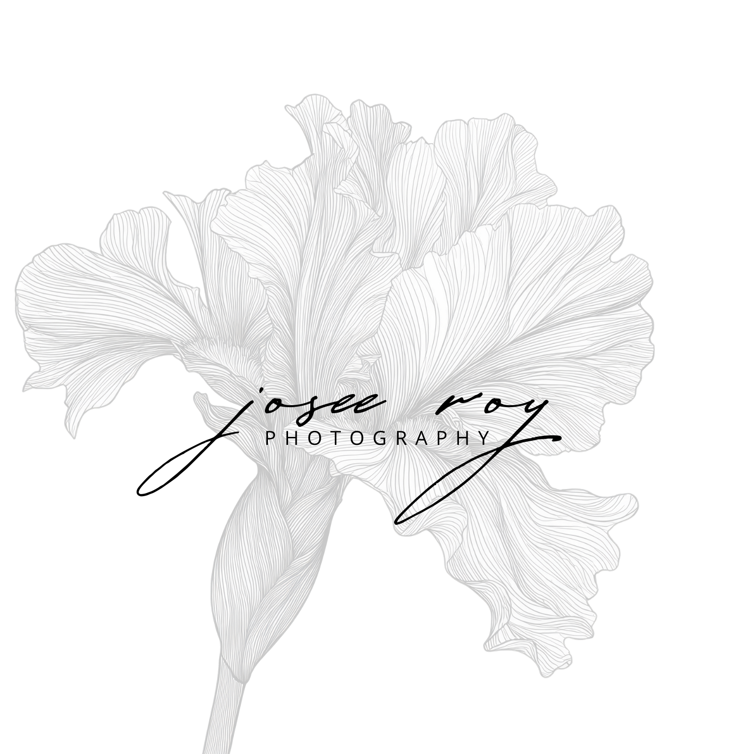 photography logo