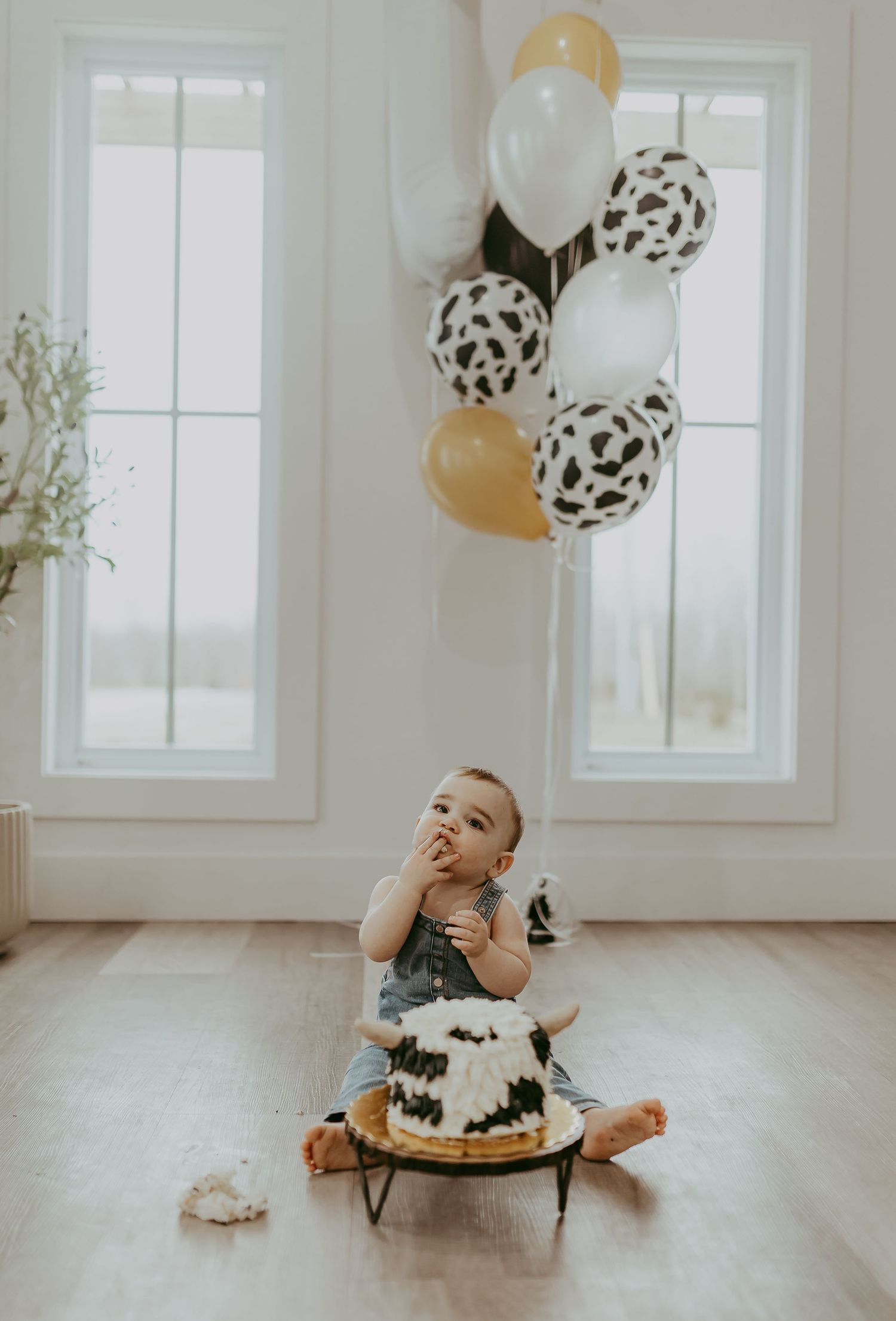 first birthday photoshoot