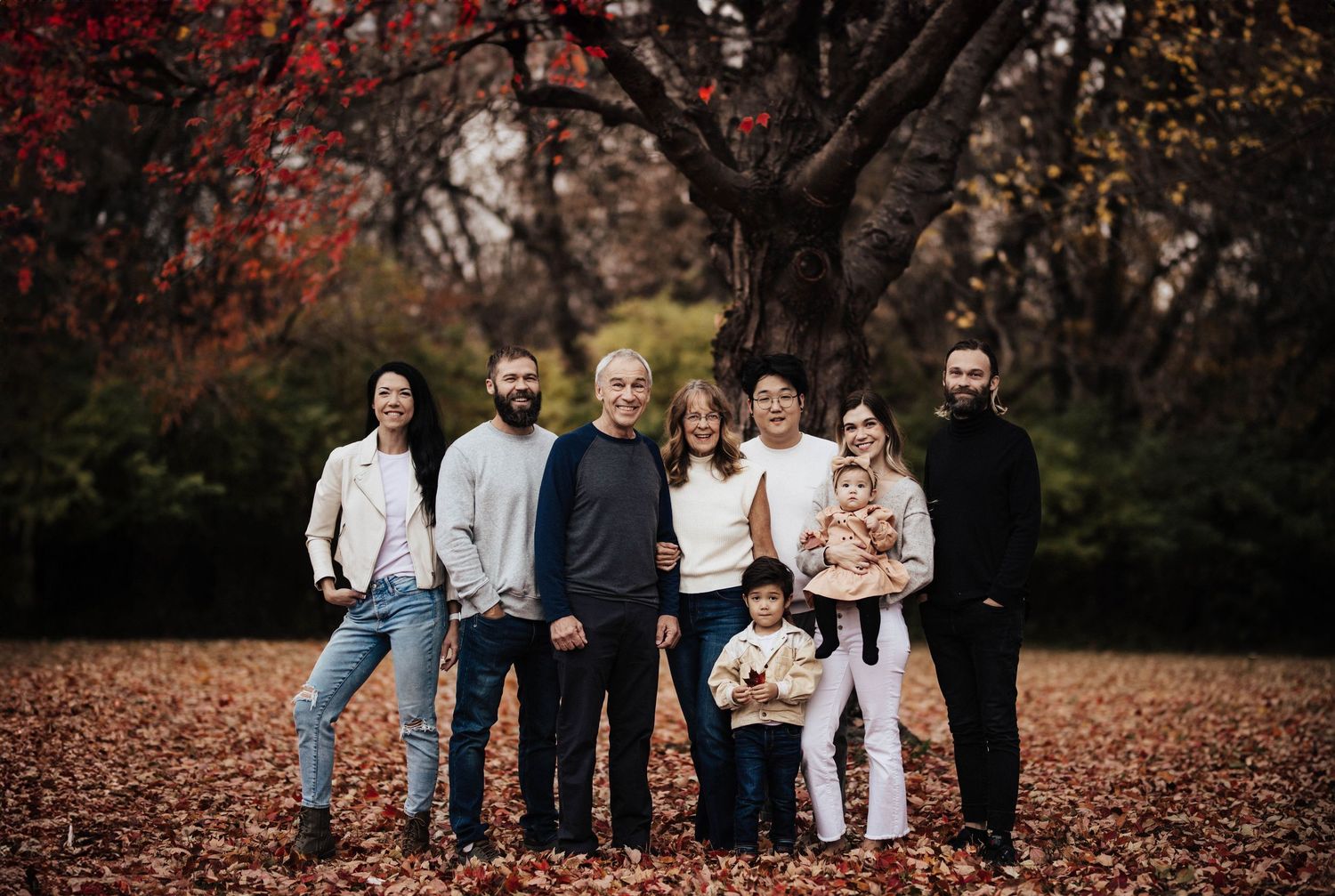 Multi-generational family posing among red autumn leaves beneath a vibrant fall tree.