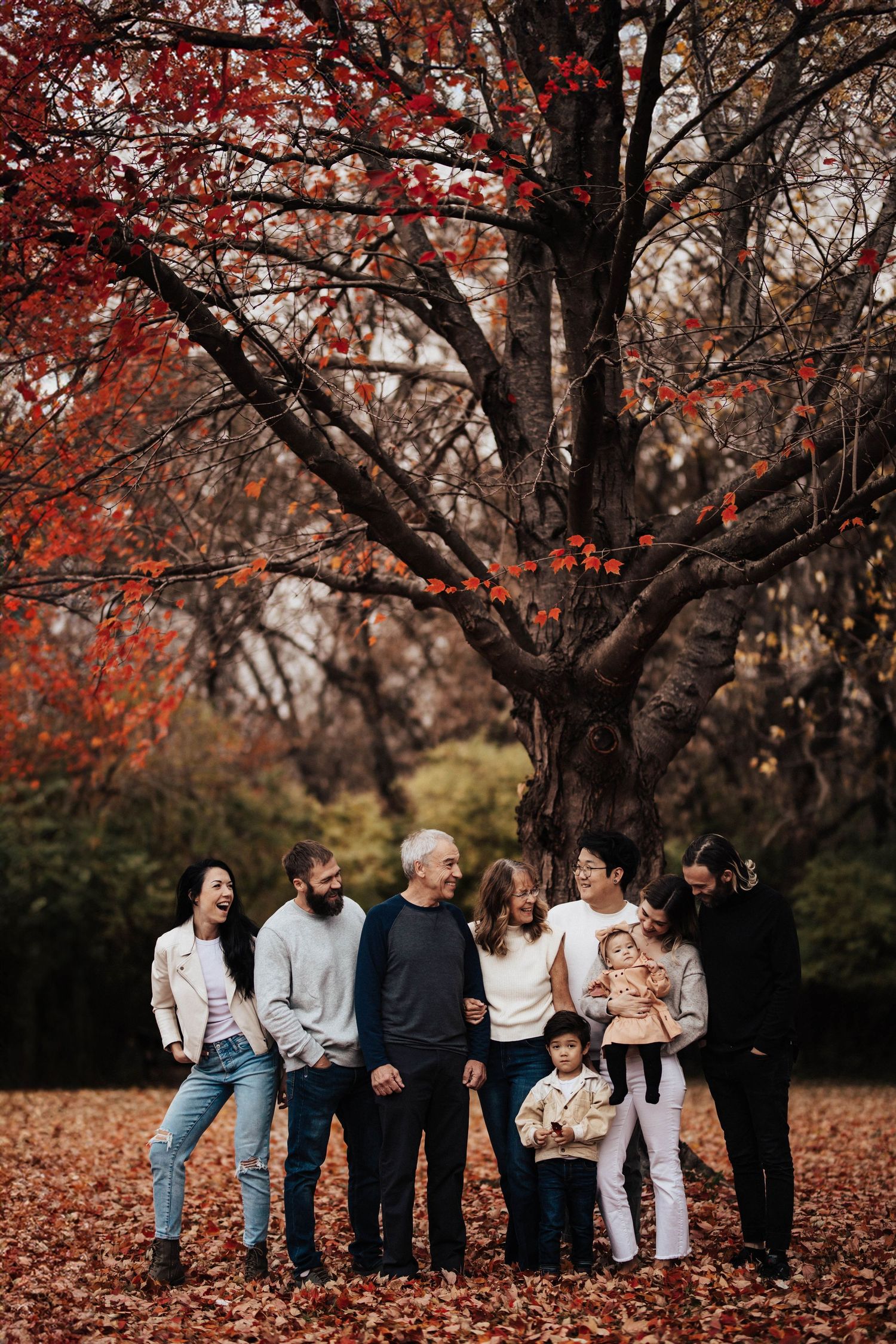 Extended family laughing together under a large red maple tree covered in fall leaves.