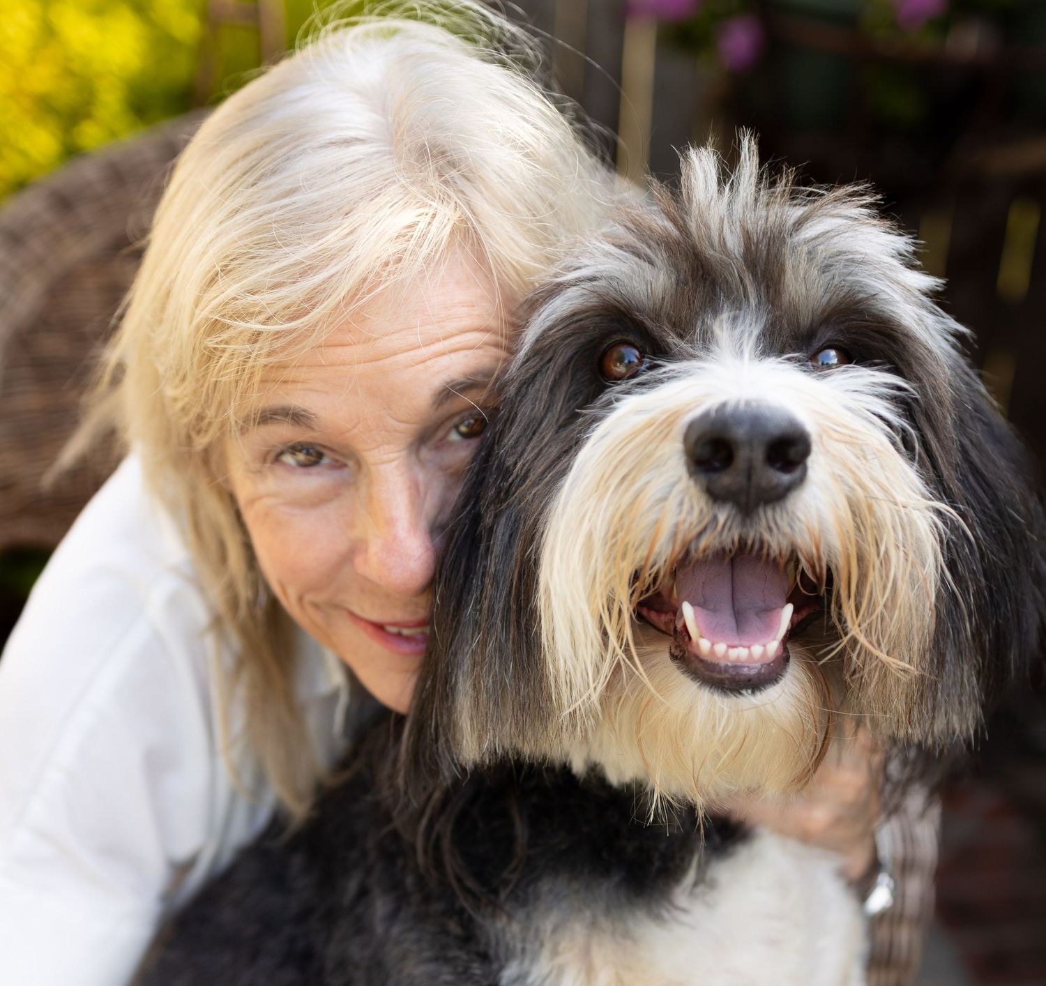 Bermese Doodle smiling while side-by-side with pet parent