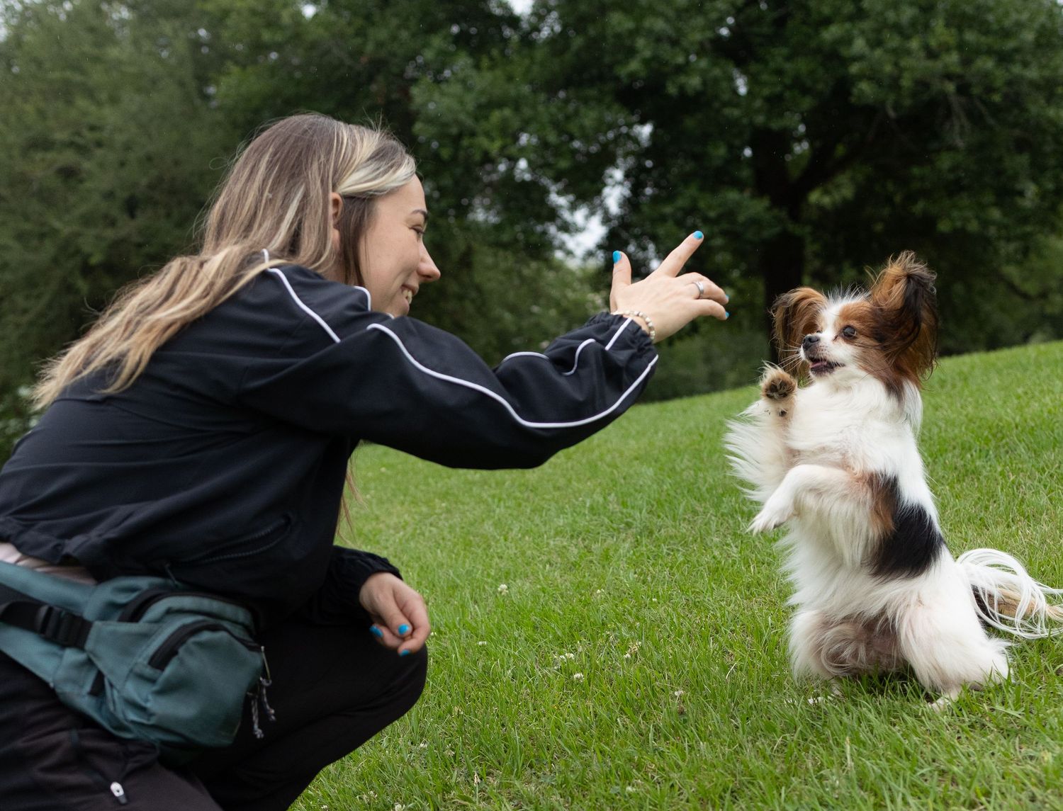 Pet parent doing a trick with her pomeranian dog at the park.