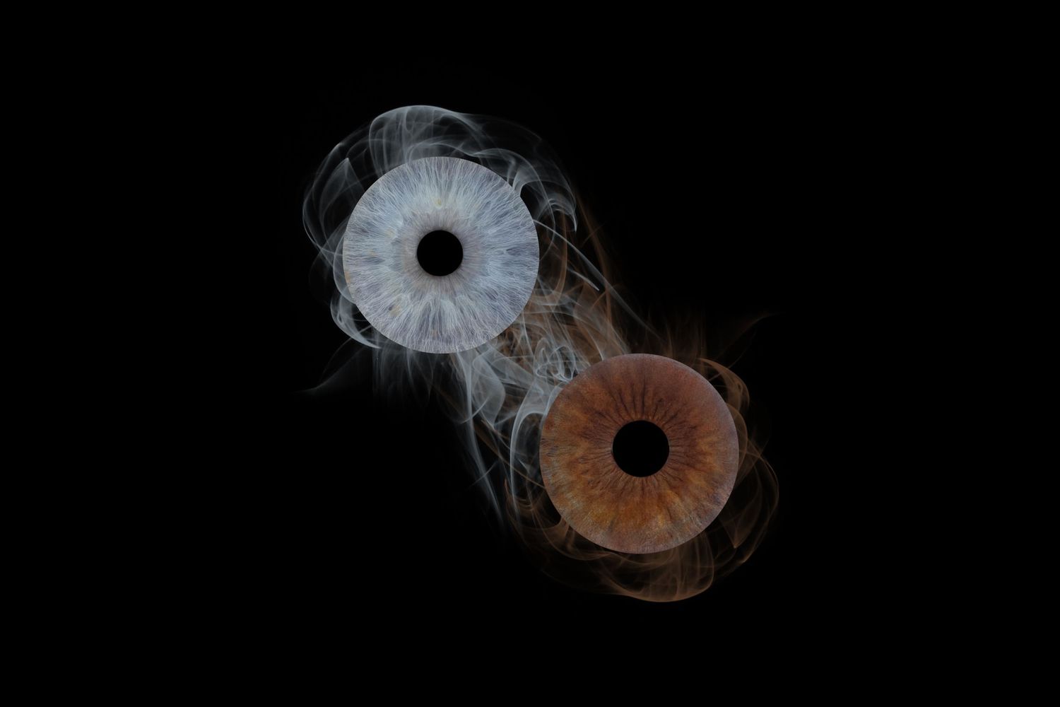 iris