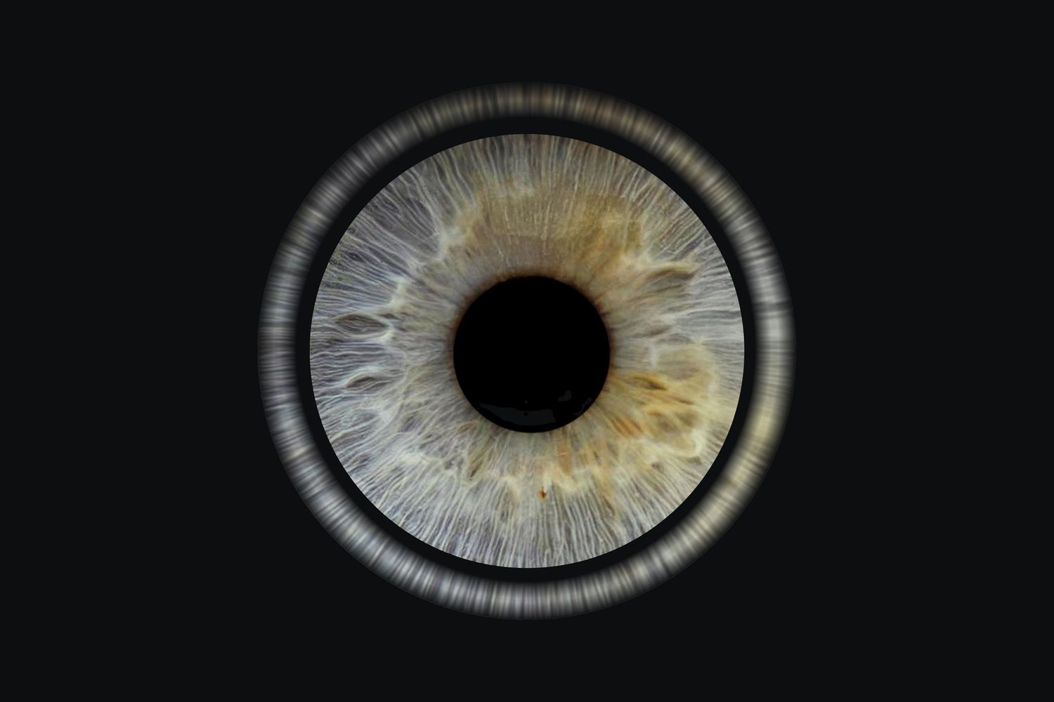 iris