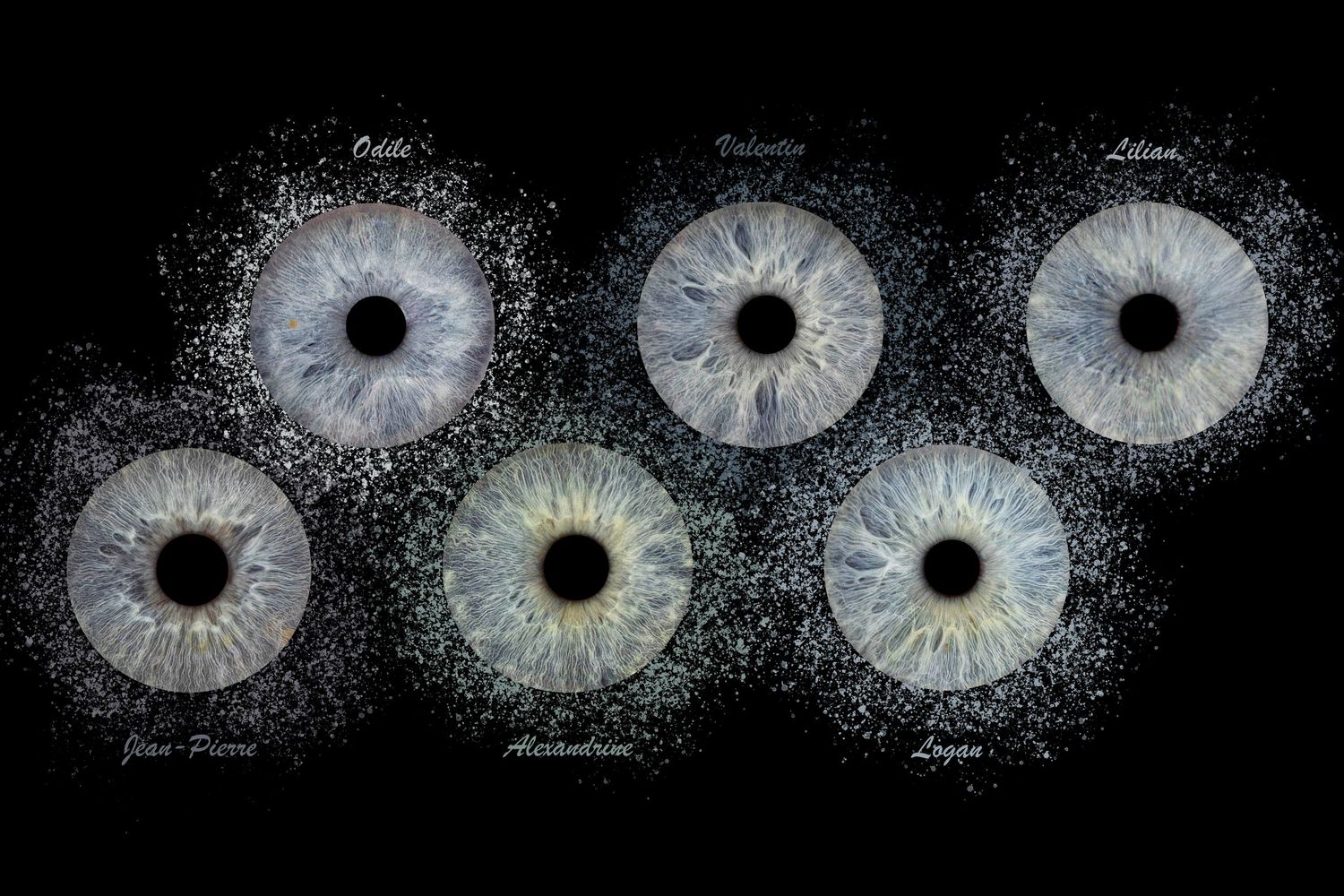 iris