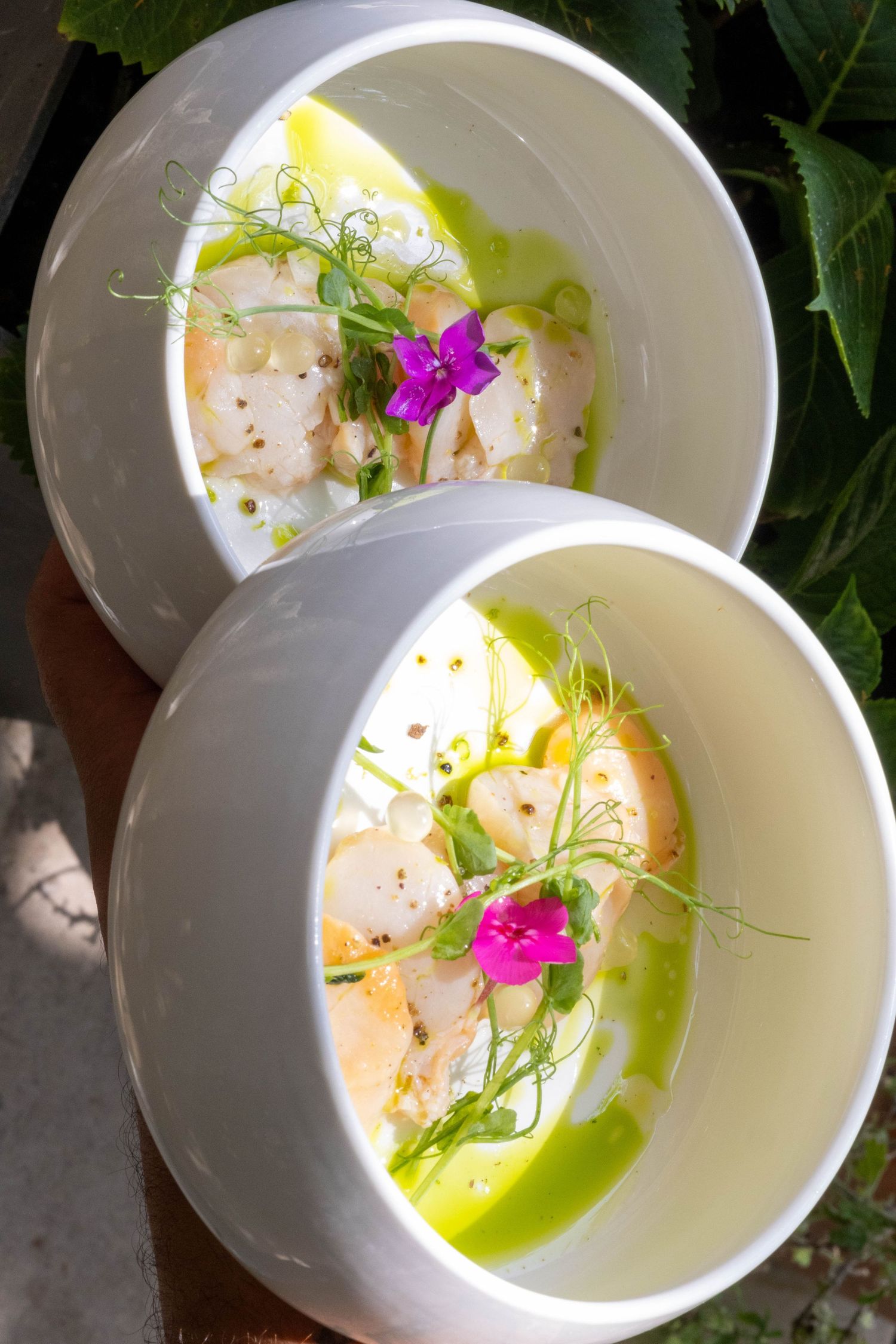 culinaire