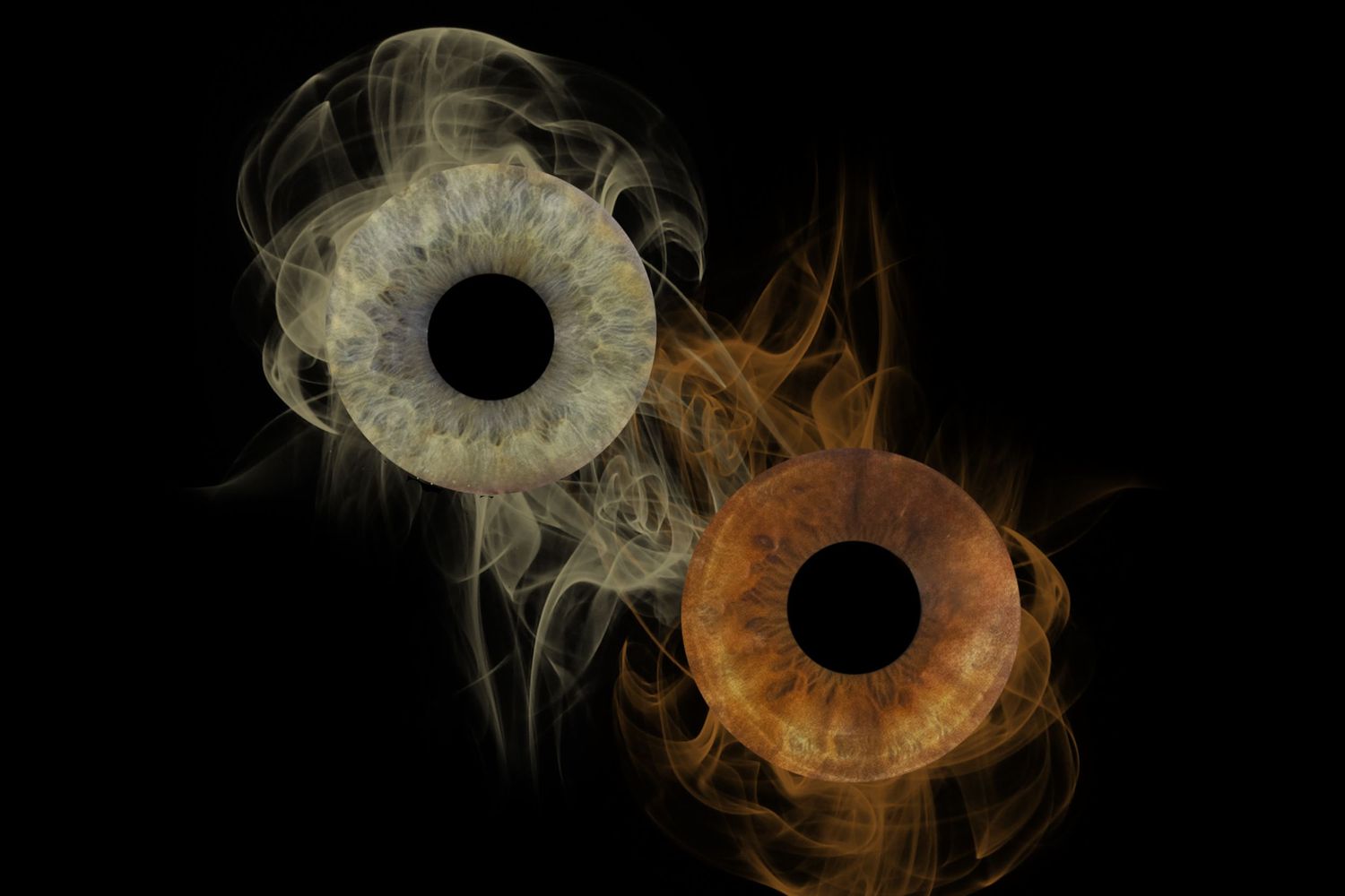 iris