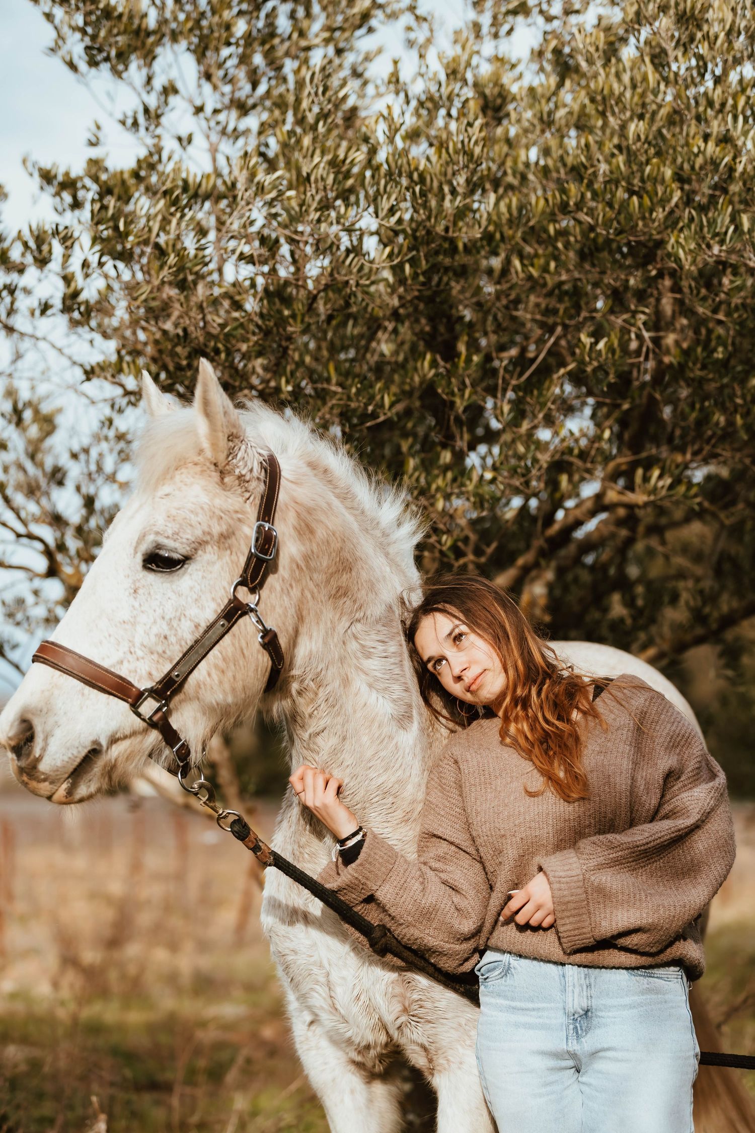 shooting équin