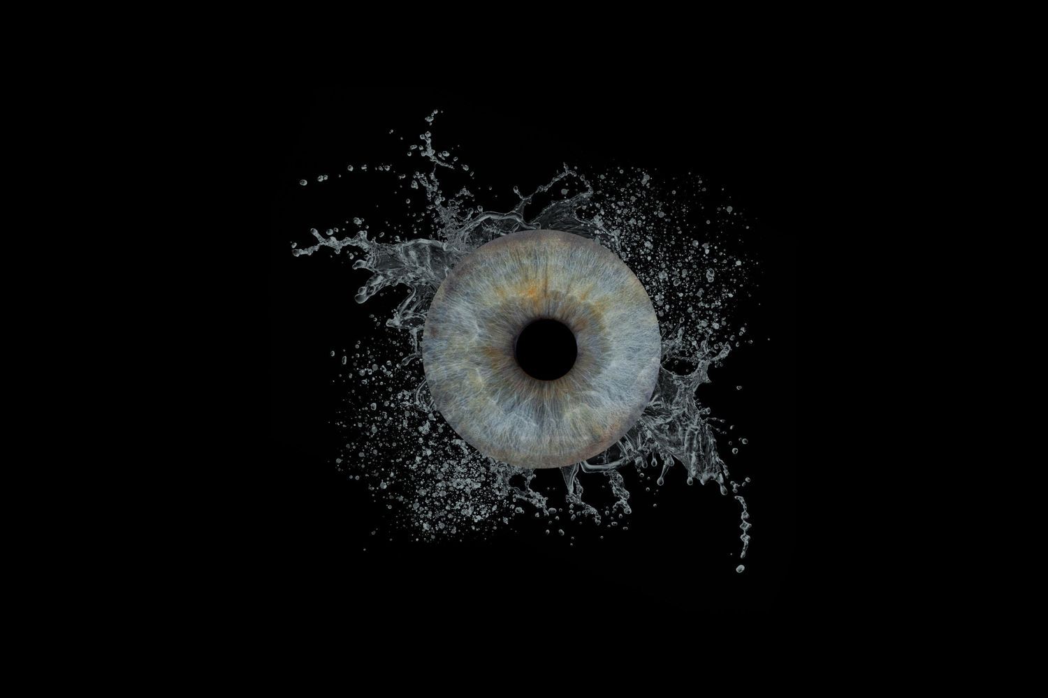 iris