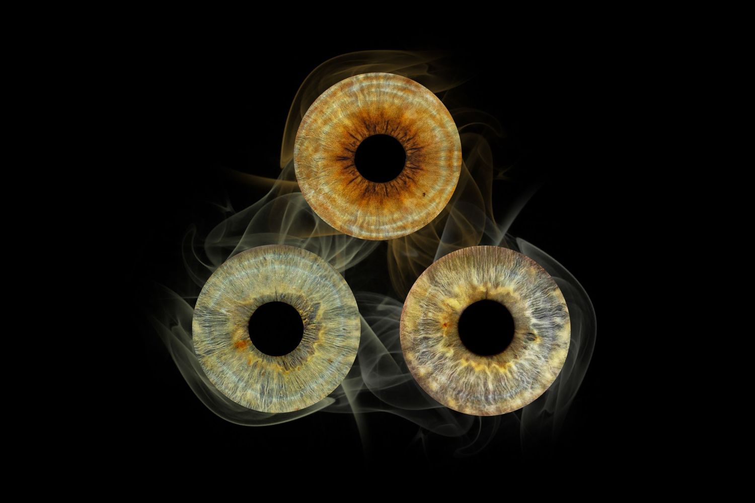 iris