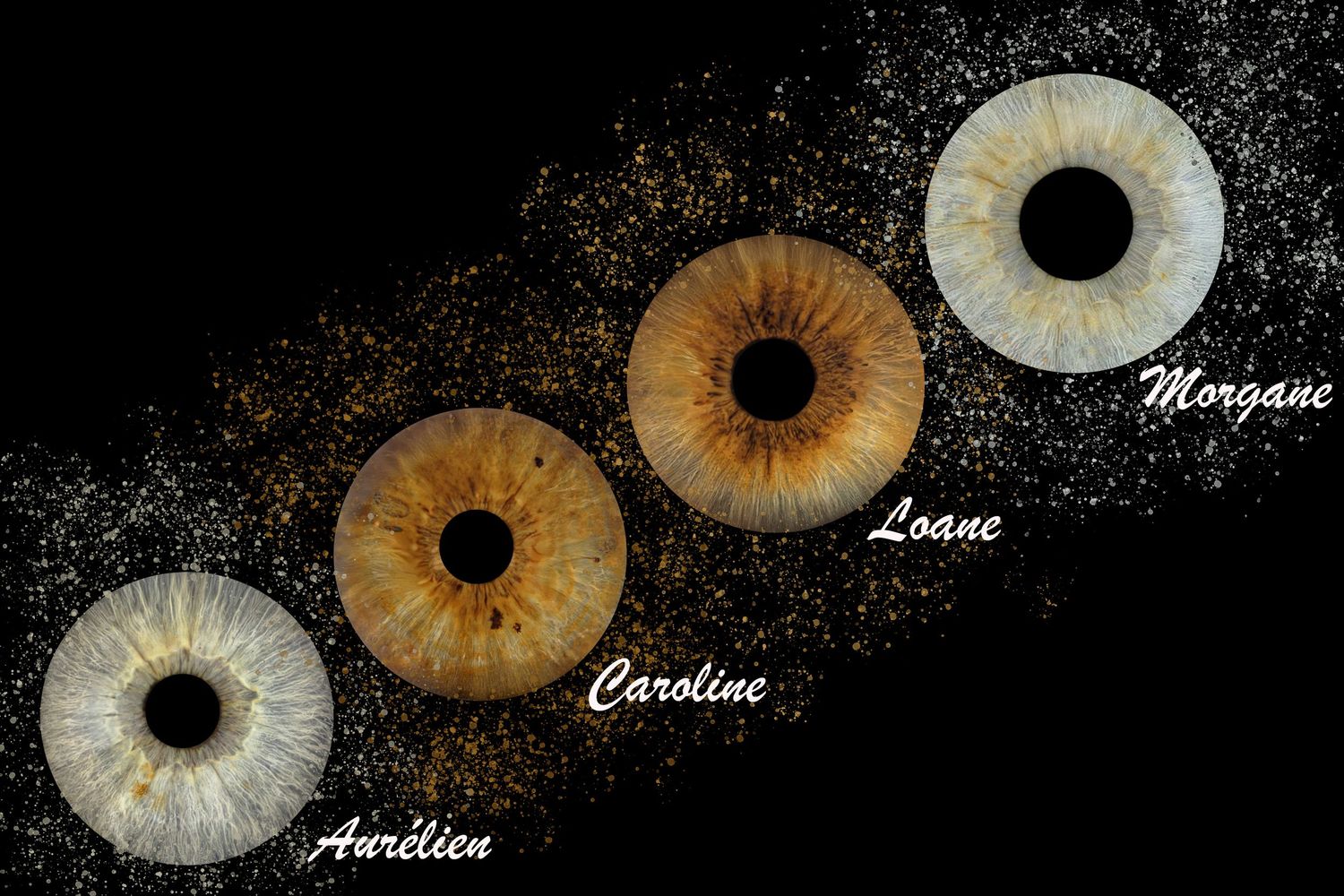 iris