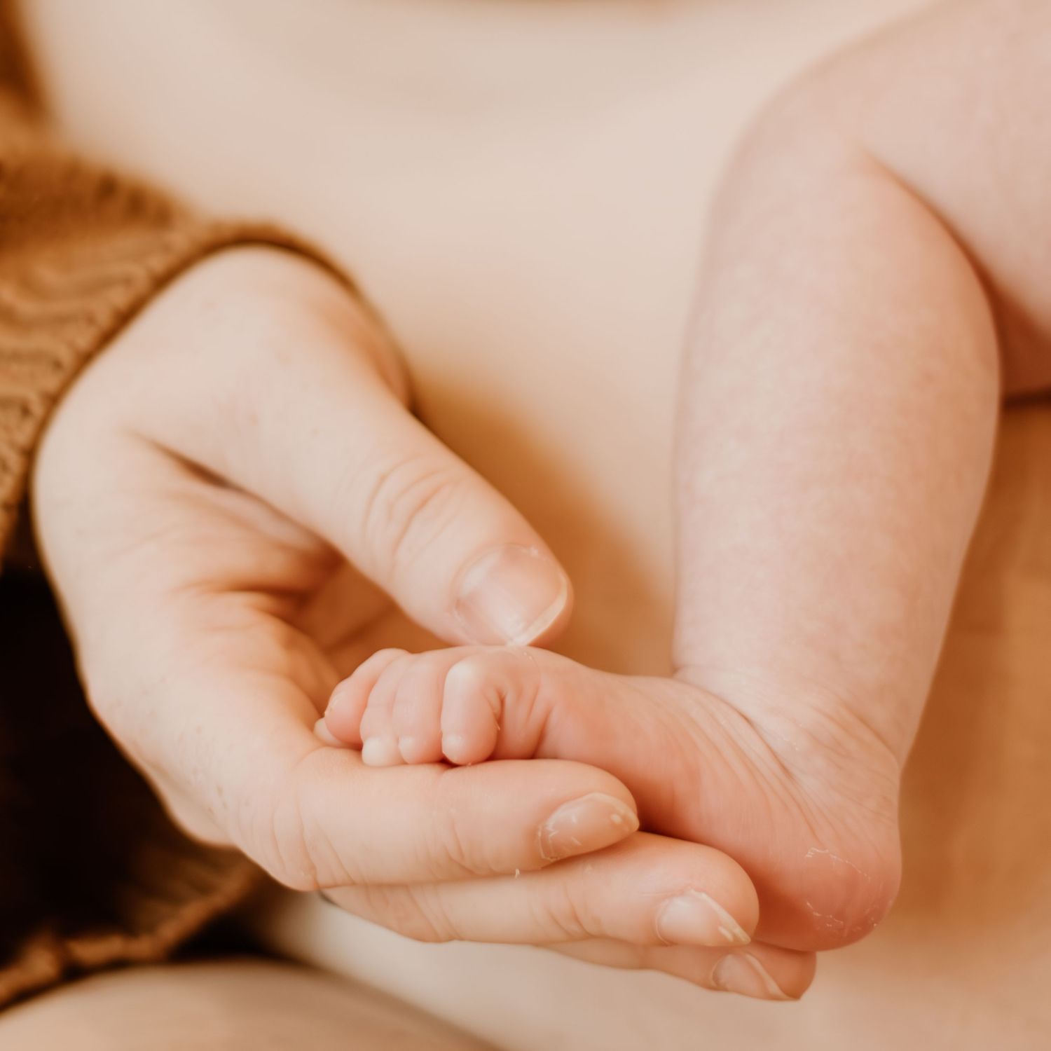 A series of baby toes and feet arranged in a panoramic strip with a warm sepia tone effect.