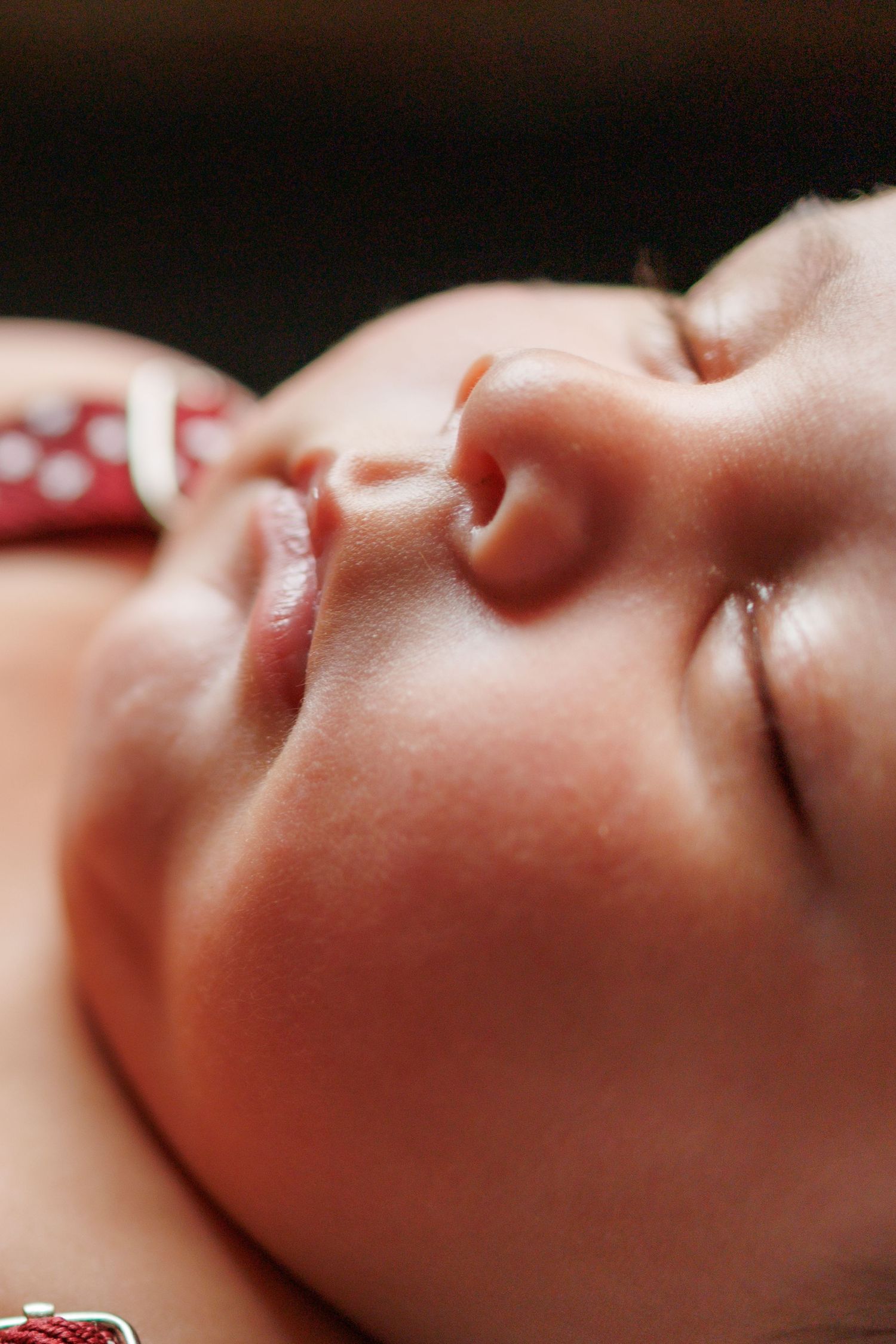 Close-up macro shot showing facial features in profile against dark background with dramatic lighting.