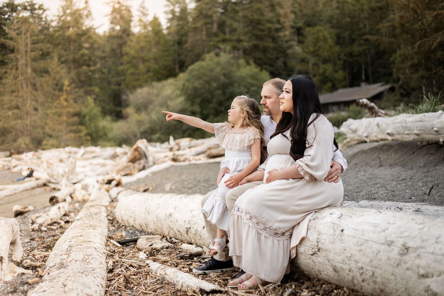 A candid beachside family photo on driftwood logs at sunset surrounded by evergreen trees.