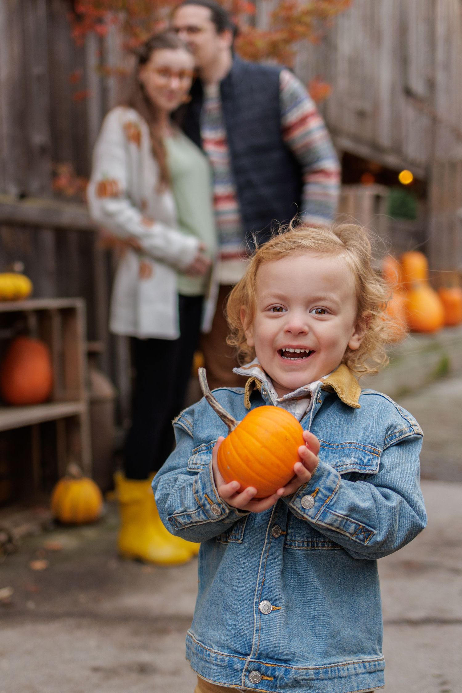 A toddler in denim jacket plays with small orange pumpkins while smiling outdoors during autumn.