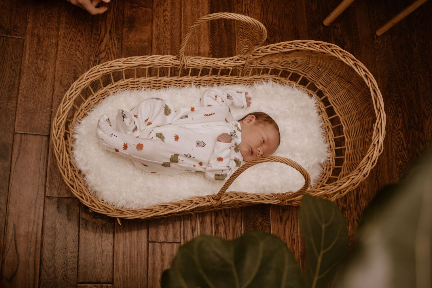 A series of artistic newborn photography shots showing a sleeping baby in a woven basket against rustic wooden floors.