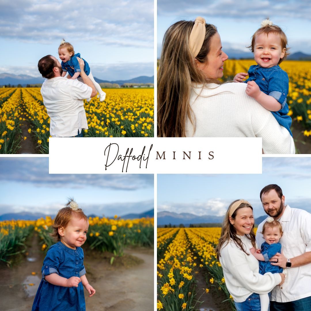 A joyful spring photoshoot in a vibrant yellow daffodil field with mountains and cloudy skies in the background.