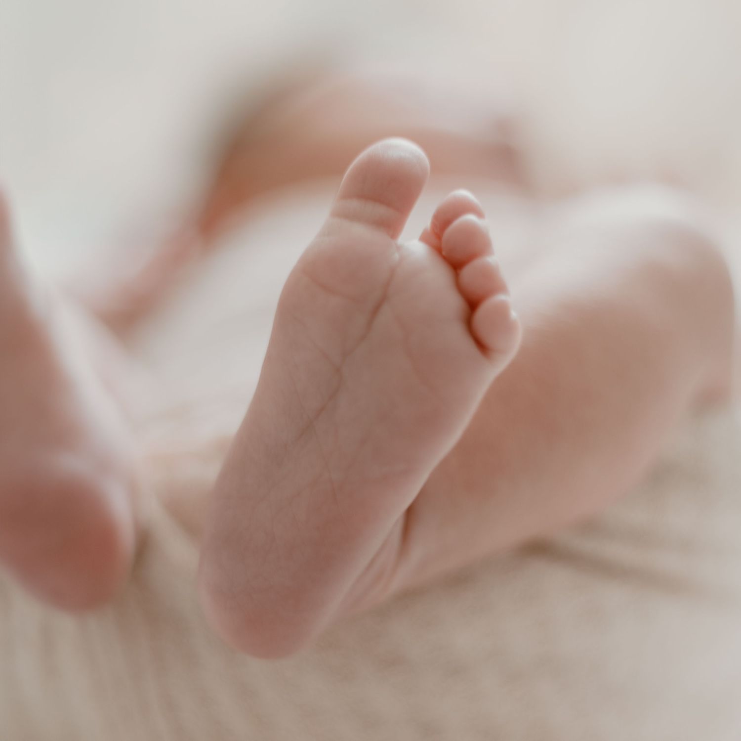 Close-up view of a tiny baby foot with delicate toes against a soft, blurred background.