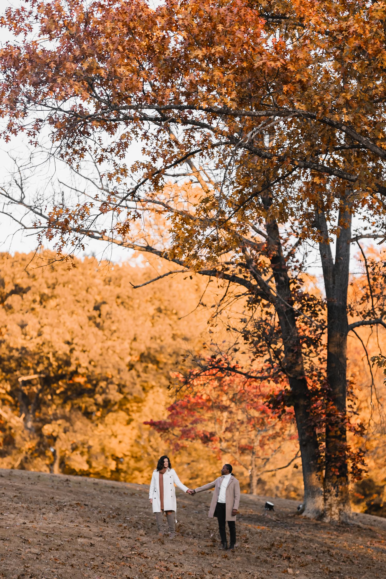 Couple holding hands while walking through a vibrant autumn forest with golden and red foliage.