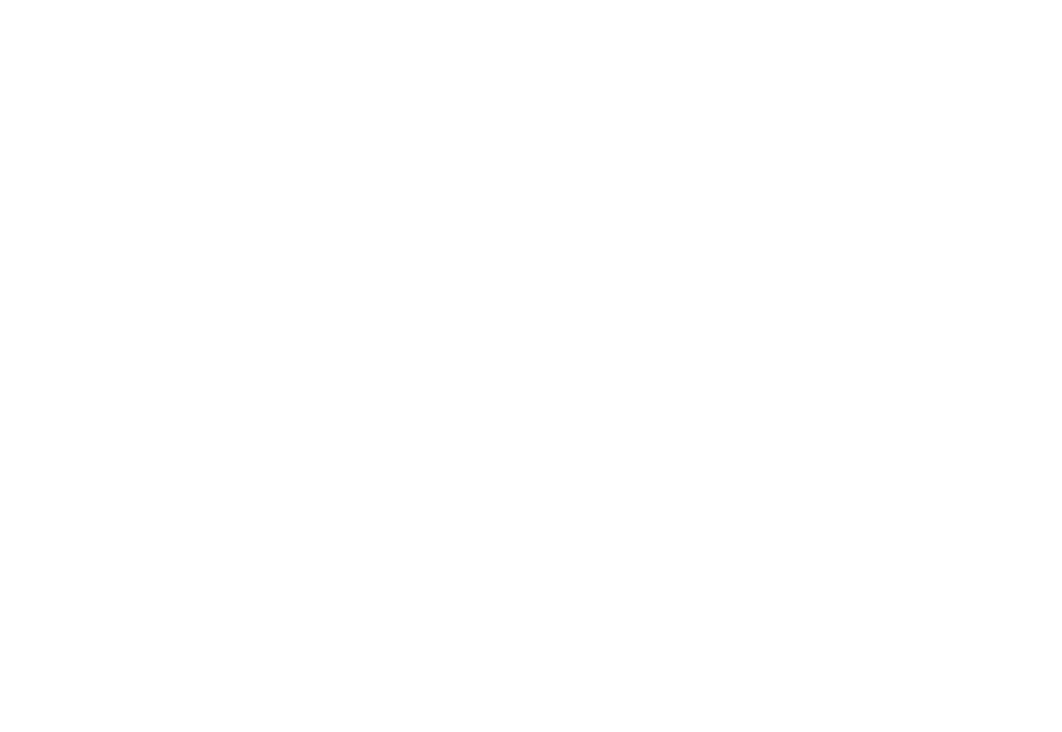 A plain white blank image with no visible content or design elements.